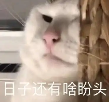 有没有你们觉得很有趣很可爱的文案
