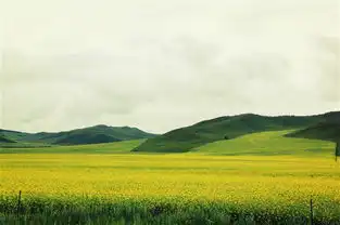 我和草原有个约会