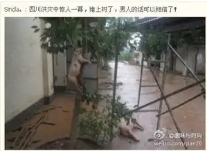 未命名
