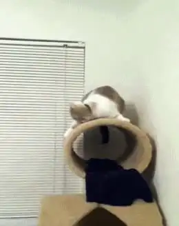 搞笑gif这位才是真正的女汉子
