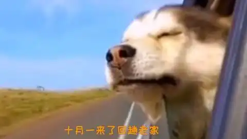 搞笑配音世界那么大,我想去看看
