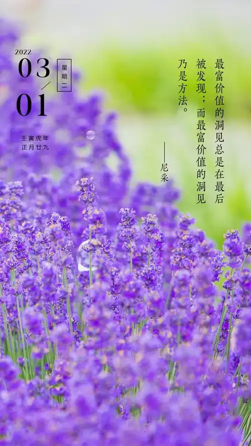 三月你好图片配图大全唯美高清带字,适合3月的简短文案句子
