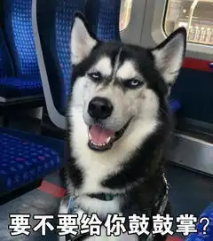 染粉色头发是种怎样的体验
