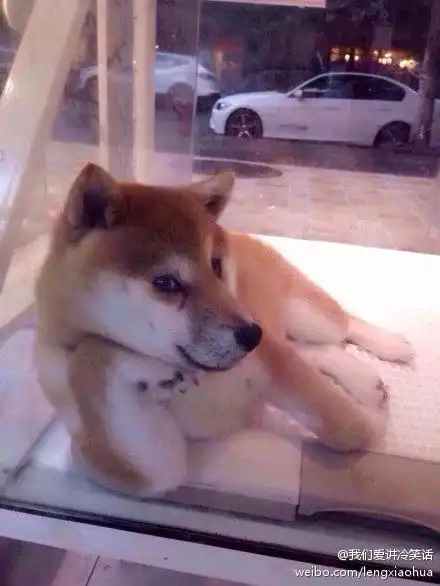 我的收藏