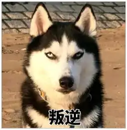 二货楼上探头耍酷,突然想起二楼没窗户,仔细一瞅瞬间石化
