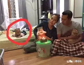 幽默7张让人搞笑的图片,图2真是万能,最后一张笑出猪叫声
