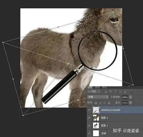 ps制作gif动态图庞姿姿
