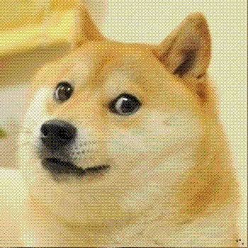 表情包比哈士奇还多,全世界都被这只柴犬圈粉
