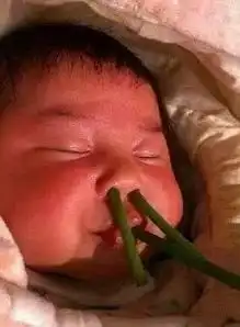 坑娃不倦的爆笑父母,这坑娃实力打满分
