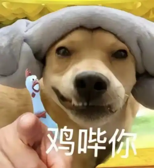 鸡哔你表情包动图下载抖音鸡哔你表情包动图图片下载v1.0嗨客手机站
