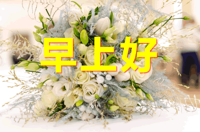 2020最新最火早安祝福动态表情图片微信早晨群发祝福语简短短信
