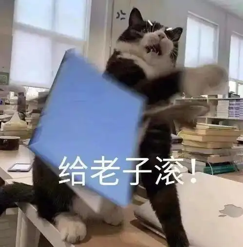 沙雕表情包当你失败的时候,总有几头猪在笑
