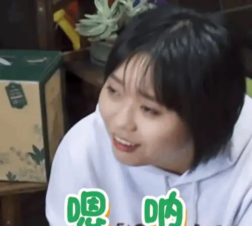 杨紫离开向往5后,节目组邀请的新嘉宾不给力,被网友吐槽
