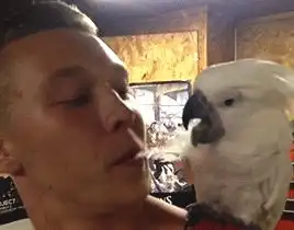 搞笑段子凡是不能做得太绝,要给蚊子留一点机会
