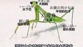 你爸妈在打你时家里来了客人......网络上超搞笑的沙雕图片第三十九期
