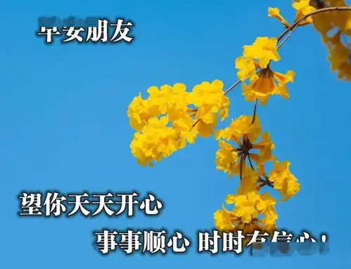 最火最好的早上好图片祝福最好看的早安问候图片

