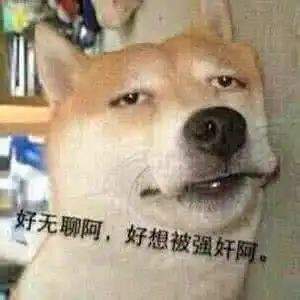 太搞了超多超级霸气可爱炫酷的狗狗表情包等你拿
