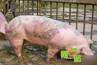 18张怪异而又有趣的照片满足你的视觉享受

