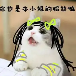 可爱猫咪带字头像搞笑图片大全2018伸手怕犯错缩手怕错过
