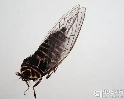 齐白石笔下的飞虫百幅精品图组四
