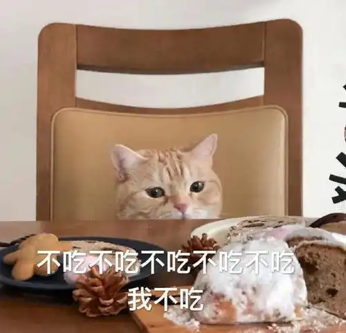 猫猫表情包合集你是猪头吗
