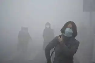 雾霾天,我和王思聪合照你都看不着
