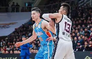 李永波观战辽篮发福严重大韩与巴斯激情碰拳,谁注意郭士强表情
