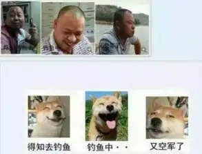 一次次空军后,他吐血写了这个
