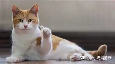 送女生有没有什么特别的礼物推荐
