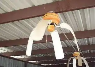 工作太忙天气太热,来点搞笑图片减压降温