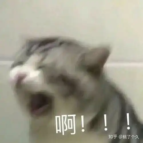 狗狗可爱表情包猫咪