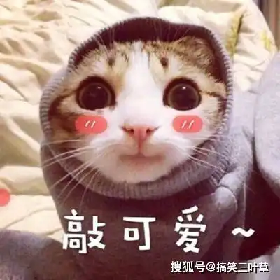 搞笑gif妹子,你这样做真的很令人痛心
