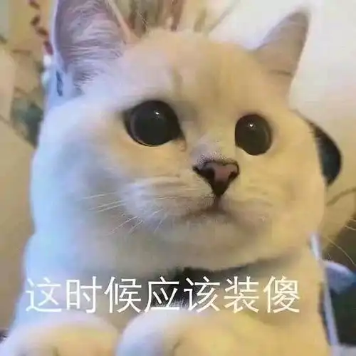可以和我处个好姬友吗

