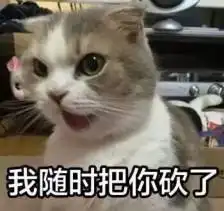 爆笑段子看着丈母娘做的能砸死狗的豆腐,我陷入了沉思

