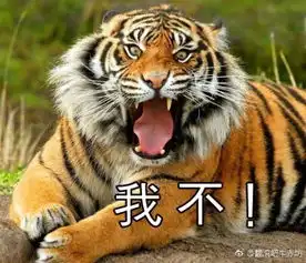 傲娇吃东西表情包