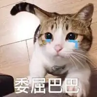 委屈表情包图片大全微信头像图片大全
