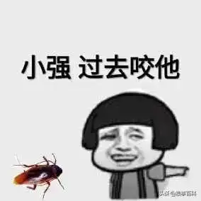 终于知道同事为啥整天对着美女壁纸傻笑了
