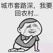 女同事被一句杭州话搞崩溃方言闹出的乌龙,第一个就笑疯了
