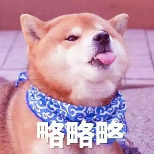 狗狗最害怕的4件事,每一件都像要了它的命