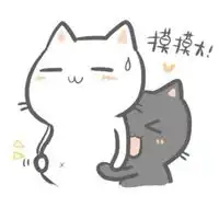 2020微信搞笑头像图片大全清新微信头像图片大全
