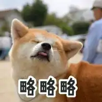 狗狗搞笑表情包带字微信头像图片大全
