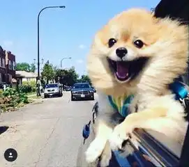 它们这么搞笑没人管管嘛
