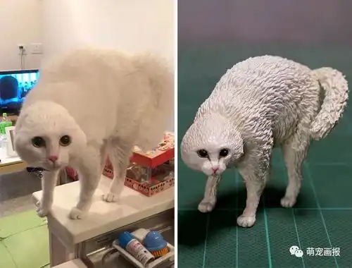 当网络搞笑动物照片照进现实之后
