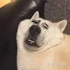 那些被玩坏的纹身哈哈哈哈哈哈网友的哭诉给我笑吐了