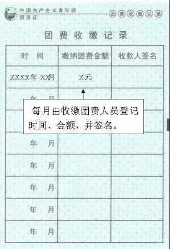 团团你团员证填写全攻略
