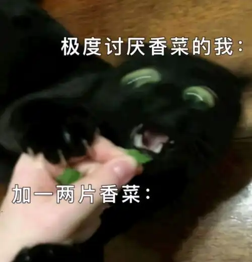 今天和朋友爬山,结果摔成了这样哈哈哈这回去怎么交代啊
