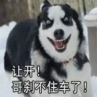 二哈搞笑表情包图片微信头像图片大全
