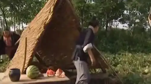 儿时回忆,猪八戒偷西瓜,简直太搞笑了
