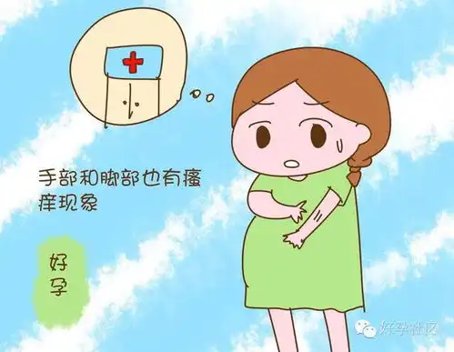 孕期肚子爱发痒别乱挠,先看看你是哪种情况后再说
