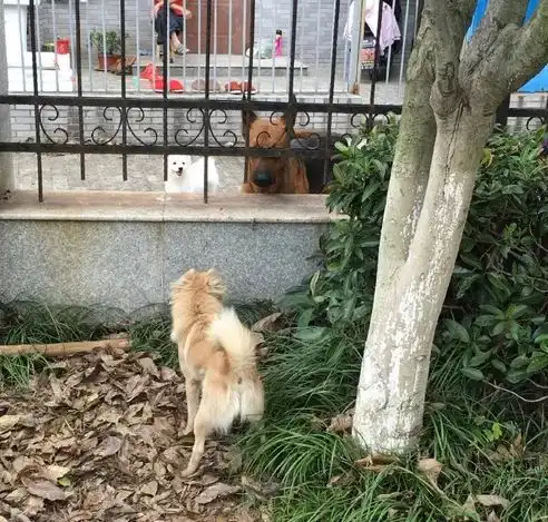 见女友时被老爸发现,哈哈哈哈很形象了
